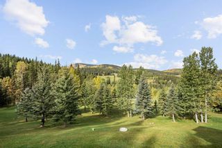 Photo 10: 35 Horseshoe Bend: Rural Foothills County Detached for sale : MLS®# A2084390