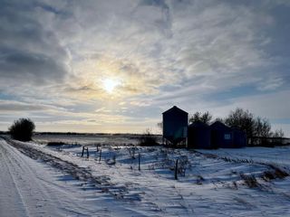 Photo 9: SE 34-45-19-W4: Rural Camrose County Residential Land for sale : MLS®# A2013938