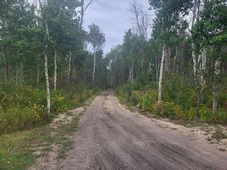 Photo 18: 0 Road 13E, 1/2 Mile North of 117N Highway in Meleb: RM of Armstrong Residential for sale (R19)  : MLS®# 202320621