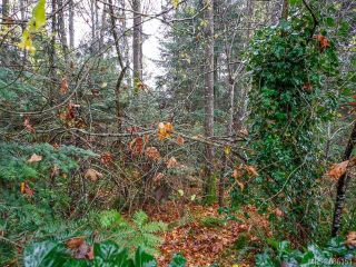 Photo 12: 755 Hobson Ave in COURTENAY: CV Courtenay East House for sale (Comox Valley)  : MLS®# 686151