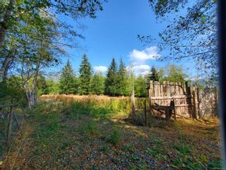 Photo 53: 3080 Michelson Rd in Sooke: Sk Otter Point House for sale : MLS®# 914200