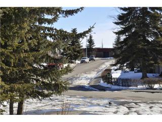 Photo 18: 48 SPRING HAVEN Road SE: Airdrie Residential Detached Single Family for sale : MLS®# C3607940