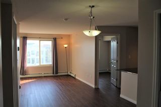 Photo 10: 413 7210 80 Avenue NE in Calgary: Saddle Ridge Apartment for sale : MLS®# A2019598
