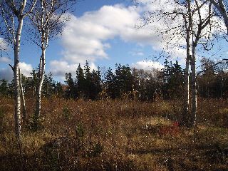 Photo 12: Lot 16 FUNDY BAY Drive in Victoria Harbour: 404-Kings County Vacant Land for sale (Annapolis Valley)  : MLS®# 201902464