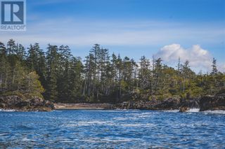 Photo 10: Lot A Vargas Island in Tofino: Vacant Land for sale : MLS®# 956243