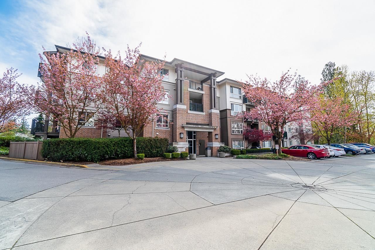 Main Photo: 205 11667 HANEY BYPASS in Maple Ridge: West Central Condo for sale : MLS®# R2678510