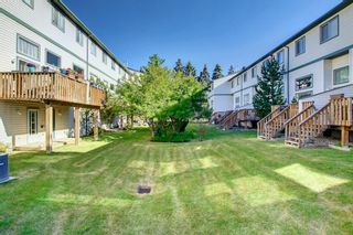 Photo 45: 253 Anderson Grove SW in Calgary: Cedarbrae Row/Townhouse for sale : MLS®# A1246044