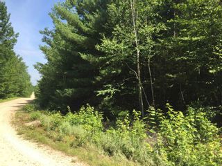 Photo 1: Lot 58 Turner Point Crossover in Walden: 405-Lunenburg County Vacant Land for sale (South Shore)  : MLS®# 202218144