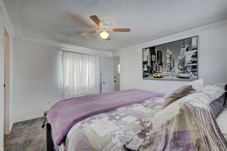 Photo 14: 20 Spring Dale Court: Airdrie Detached for sale : MLS®# A2114678