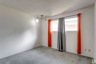 Photo 19: 8420 177A Street in Edmonton: Zone 20 House for sale : MLS®# E4300375