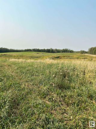 Photo 5: Township 565A & Range Road 20: Rural Lac Ste. Anne County Rural Land/Vacant Lot for sale : MLS®# E4311967