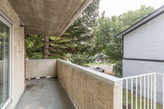Photo 16: 115 2211 29 Street SW in Calgary: Killarney/Glengarry Apartment for sale : MLS®# A2074937