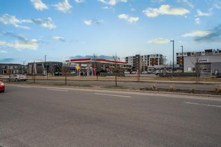 Photo 37: 139 cityscape Street NE in Calgary: Cityscape Detached for sale : MLS®# A2126005