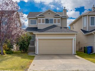 Photo 37: 17 ROYAL ELM Way NW in Calgary: Royal Oak Detached for sale : MLS®# A1034855