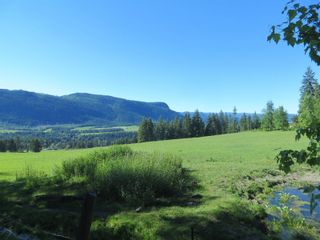 Photo 2: 595 Albers Road, in Lumby: Agriculture for sale : MLS®# 10256673