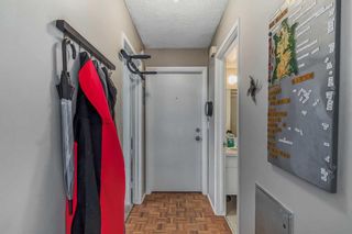 Photo 5: 5 3511 15 Street SW in Calgary: Altadore Apartment for sale : MLS®# A2079034