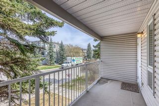 Photo 17: 202 701 56 Avenue SW in Calgary: Windsor Park Apartment for sale : MLS®# A1216699