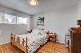 Photo 13: 57 Walnut Drive SW in Calgary: Wildwood Detached for sale : MLS®# A2026146