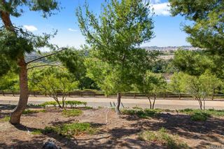 Photo 48: 75 Stargazer Way in Mission Viejo: Residential for sale (MN - Mission Viejo North)  : MLS®# OC22107324
