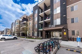 Photo 5: 305 7130 80 Avenue NE in Calgary: Saddle Ridge Apartment for sale : MLS®# A2129427