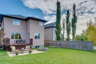 Photo 29: 94 ROYAL BIRKDALE Crescent NW in Calgary: Royal Oak Detached for sale : MLS®# C4267100