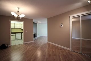 Photo 15: 306 333 GARRY Crescent NE in Calgary: Greenview Apartment for sale : MLS®# A1069641