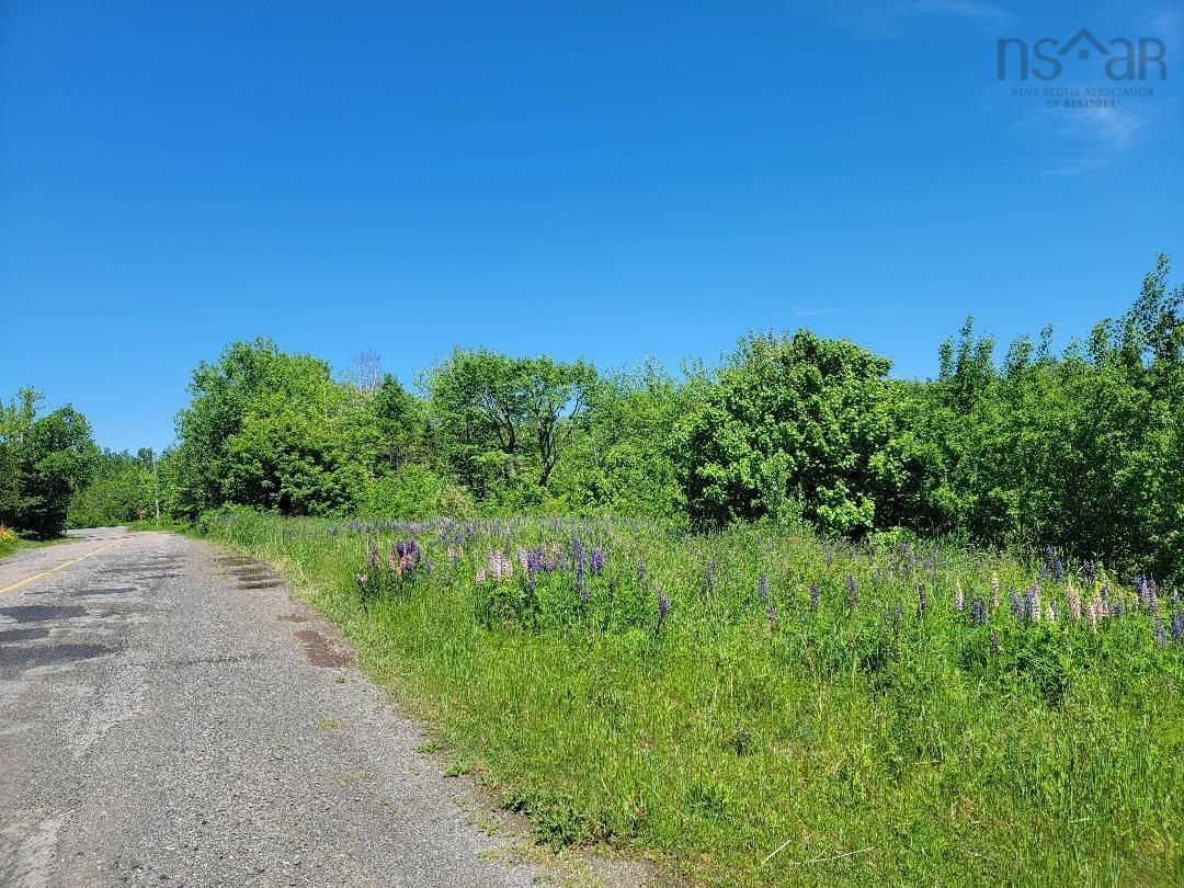 Main Photo: Reeves Road in Coalburn: 108-Rural Pictou County Vacant Land for sale (Northern Region)  : MLS®# 202213906