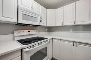 Photo 7: 323 428 Chaparral Ravine View SE in Calgary: Chaparral Apartment for sale : MLS®# A2120953