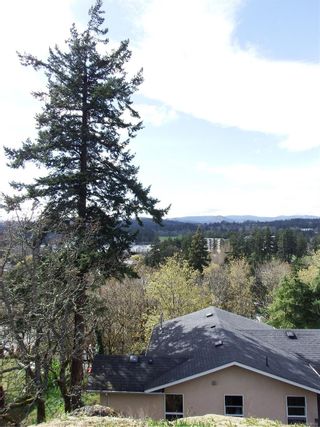 Photo 48: 3841 Holland Ave in Saanich: SW Granville House for sale (Saanich West)  : MLS®# 900139