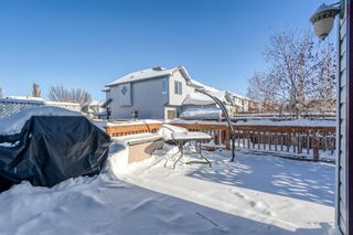 Photo 31: 151 Cranwell Green SE in Calgary: Cranston Detached for sale : MLS®# A2010647