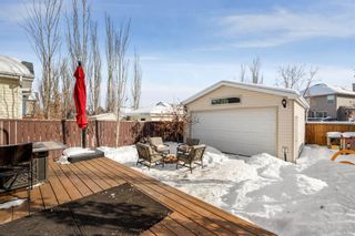 Photo 23: 172 Chaparral Ridge Circle SE in Calgary: Chaparral Detached for sale : MLS®# A2033473