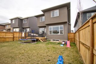 Photo 44: 132 Cooperstown Place SW: Airdrie Detached for sale : MLS®# A1212832