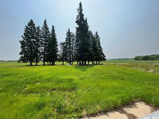 Photo 16: Swan Plain Acreage 40 Acres in Clayton: Residential for sale (Clayton Rm No. 333)  : MLS®# SK932674