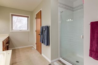 Photo 22: 95 Scandia Rise NW in Calgary: Scenic Acres Detached for sale : MLS®# A2129481