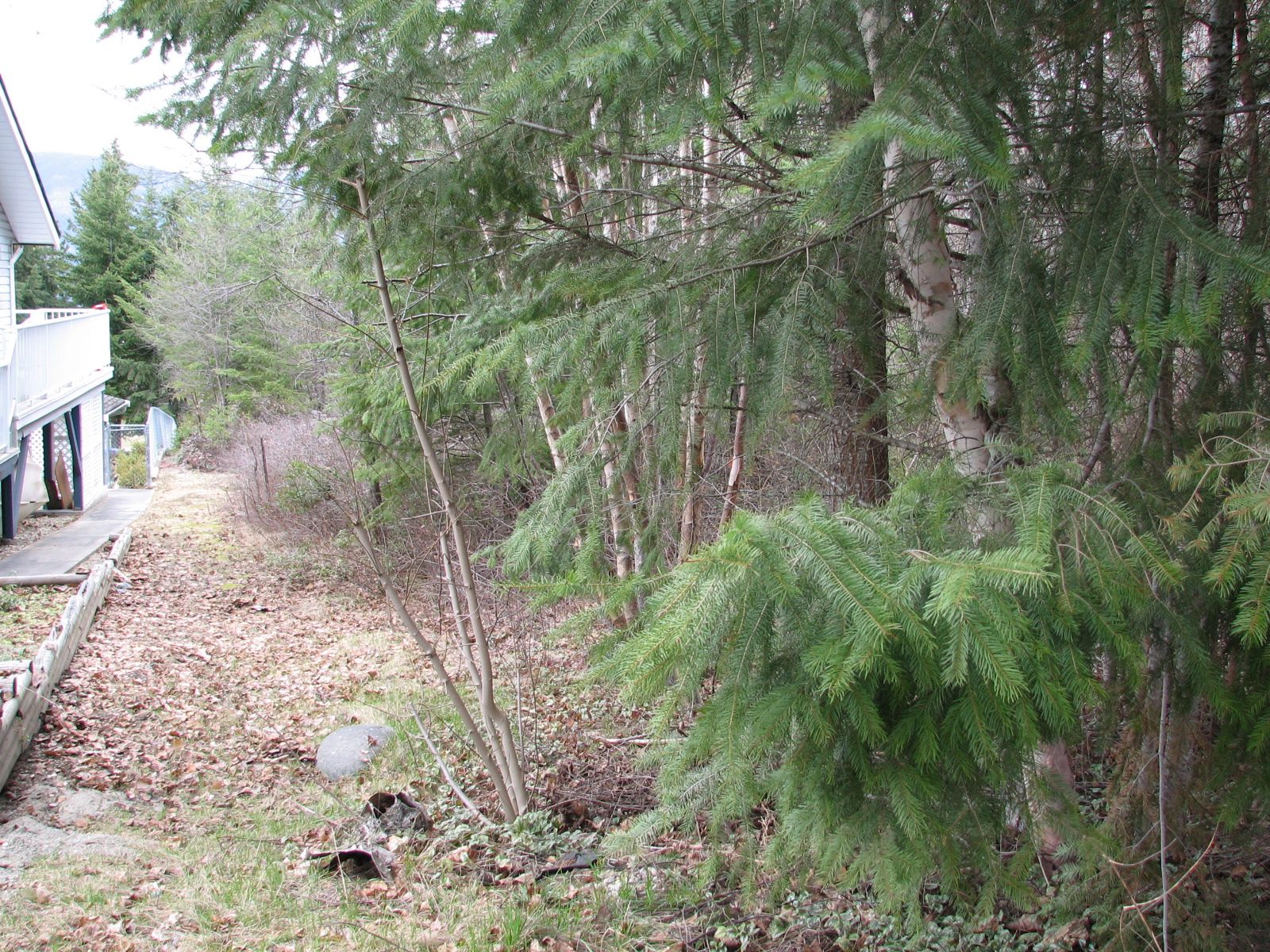 Main Photo: Lot 58 Ta Lana Trail in Sorrento: Blind Bay Land Only for sale (Shuswap)  : MLS®# 10250097