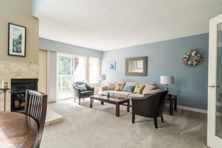 Photo 2: 531 SAN REMO Drive in Port Moody: North Shore Pt Moody House for sale : MLS®# R2090867