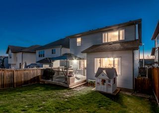 Photo 39: 248 EVANSBROOKE Way NW in Calgary: Evanston Detached for sale : MLS®# A1221592