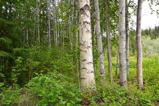 Photo 19: DL 1335A 37 Highway: Kitwanga Land for sale (Smithers And Area (Zone 54))  : MLS®# R2471833