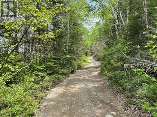 Photo 49: - Canoose Stream Road in Canoose: Vacant Land for sale : MLS®# NB073754
