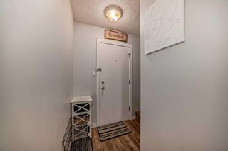 Photo 30: 2 645 Meredith Road NE in Calgary: Bridgeland/Riverside Apartment for sale : MLS®# A2130538