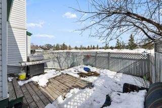 Photo 19: 26 131 Templehill Drive NE in Calgary: Temple Row/Townhouse for sale : MLS®# A1209808