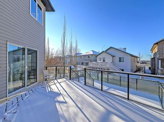 Photo 44: 425 Douglas Ridge Circle SE in Calgary: Douglasdale/Glen Detached for sale : MLS®# A1166534