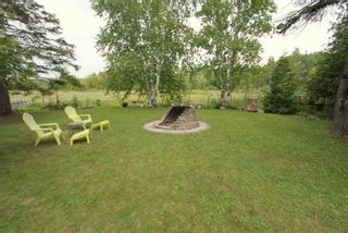 Photo 27: 220 Mcguire Beach Road in Kawartha Lakes: Rural Carden House (Bungalow) for sale : MLS®# X5338564