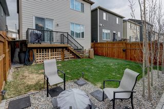 Photo 31: 209 Yorkville Green SW in Calgary: Yorkville Detached for sale : MLS®# A2048128