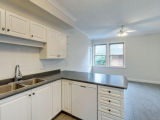 Photo 9: 548 Niagara St in Victoria: Vi James Bay Half Duplex for sale : MLS®# 922127