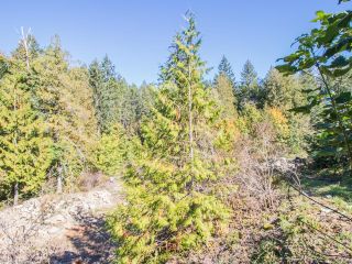 Photo 15: LOT 3 Extension Rd in NANAIMO: Na Extension Land for sale (Nanaimo)  : MLS®# 830669
