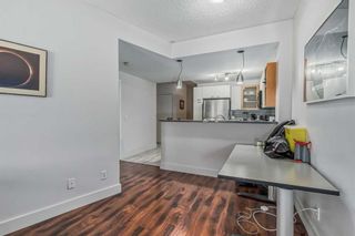 Photo 12: 225 315 24 Avenue SW in Calgary: Mission Apartment for sale : MLS®# A2076992