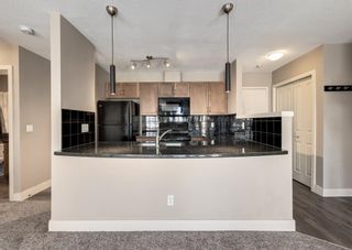 Photo 6: 5 215 Village Terrace SW in Calgary: Patterson Apartment for sale : MLS®# A2011286