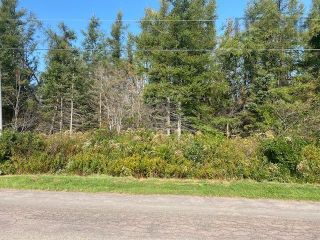 Photo 1: 0 Brule Point Road in Brule: 103-Malagash, Wentworth Vacant Land for sale (Northern Region)  : MLS®# 202320600