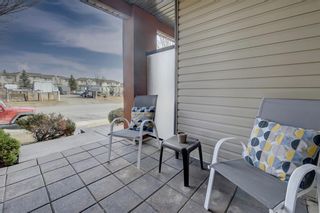 Photo 16: 109 2727 28 Avenue SE in Calgary: Dover Apartment for sale : MLS®# A1195179